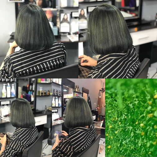 Thuốc nhuộm tóc màu Rêu Đenkhông tẩy kèm trợ nhuộm 100ml  Shopee Việt Nam
